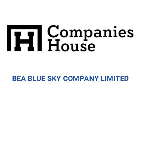BEA BLUE SKY COMPANY LIMITED